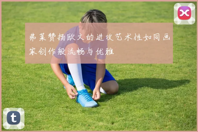 弗莱赞扬欧文的进攻艺术性如同画家创作般流畅与优雅